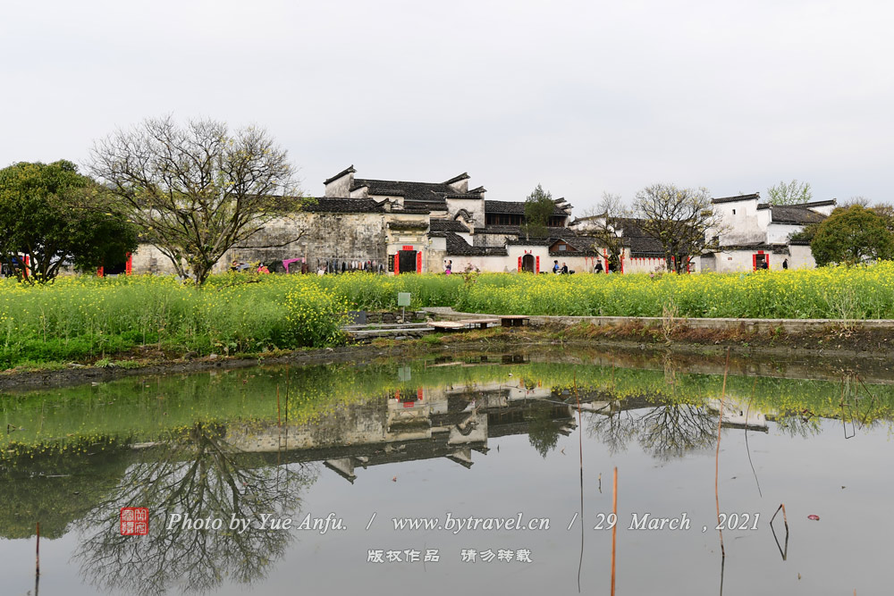 ϹŴ䣨ݺ壩