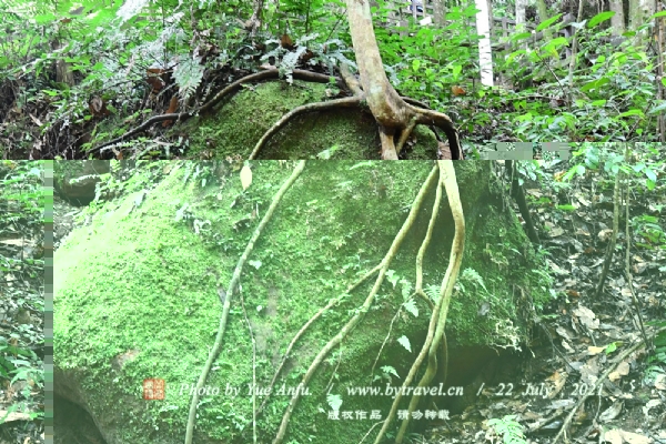 ˮٲ