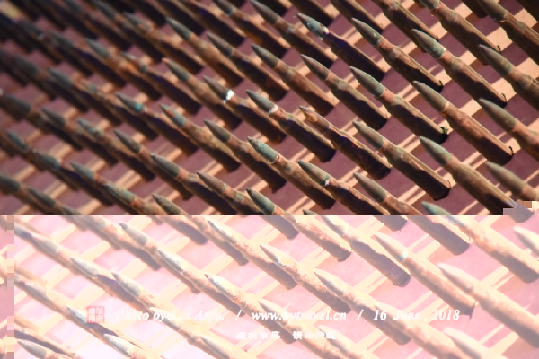 ֻվϾɱͬ