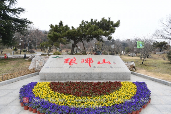 ɽ羰ʤ