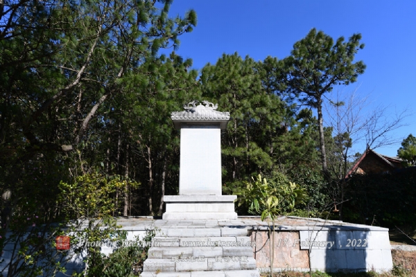 齭Դ羰