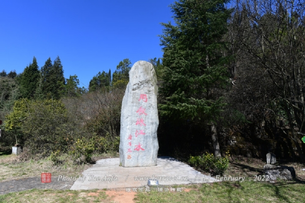 齭Դ羰