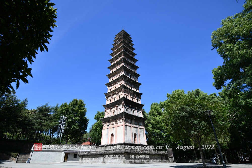 羰