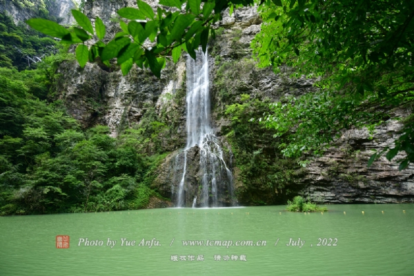 żҽϿ