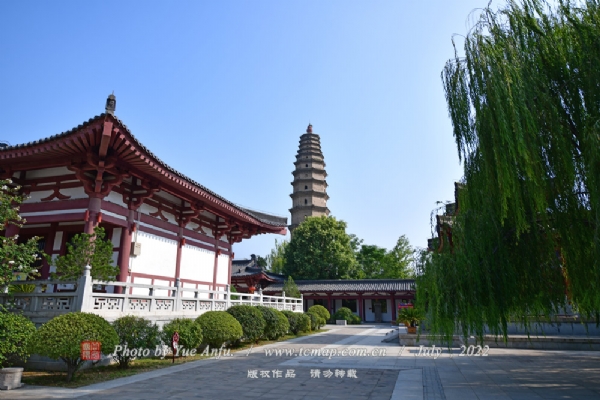 격