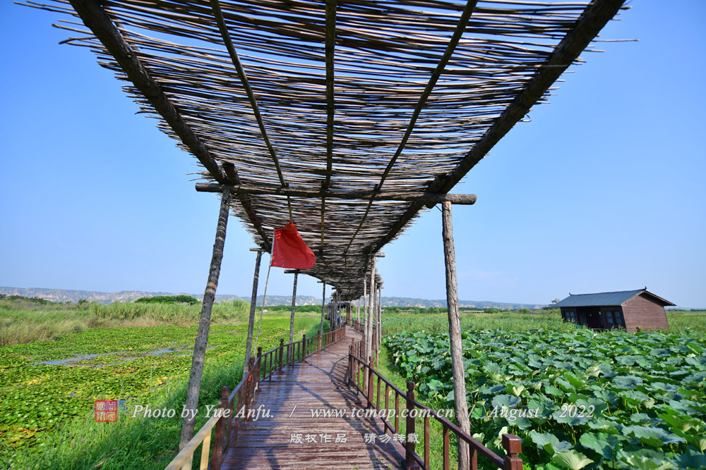 Ǣ羰