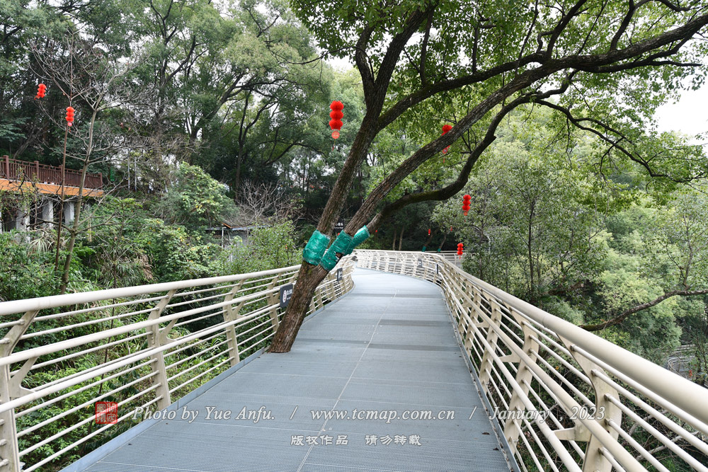 ƽŷɽ