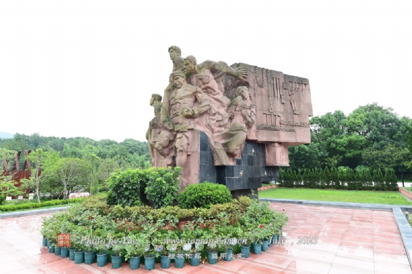 Ϣ鼯Ӫʷ