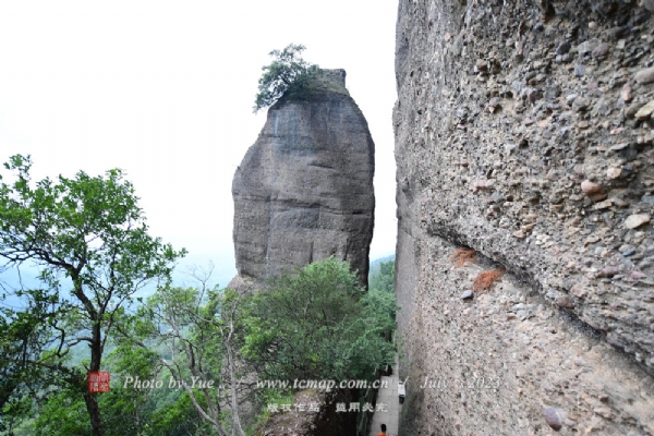 Źط羰