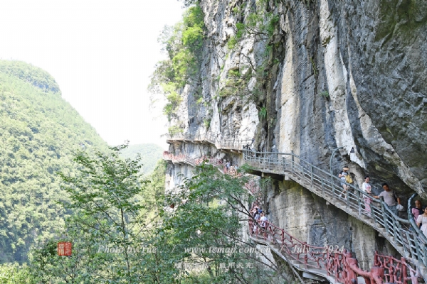 ʩĹȾ