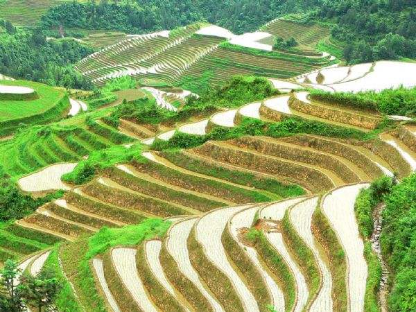 玻烈河景区