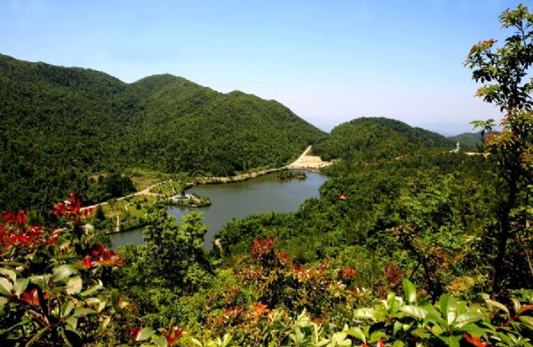 三百山景区