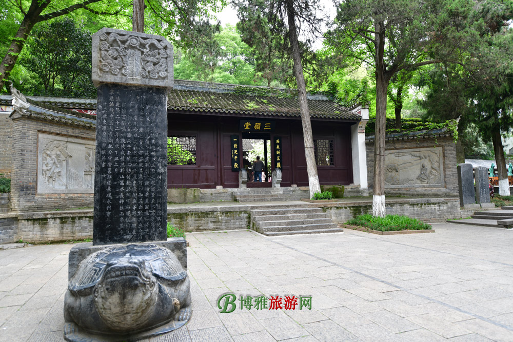 ǰ䣬䣬Ӳɽ𼹽