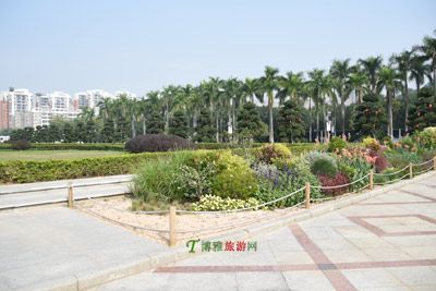 顺峰山公园