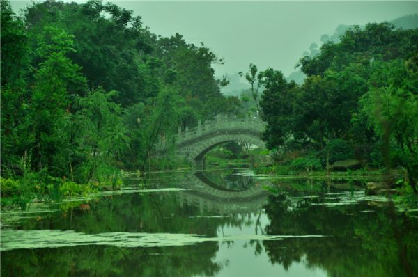 张坝桂圆林旅游景区