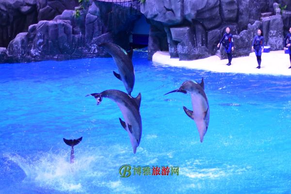 麣١¡ʺȼ