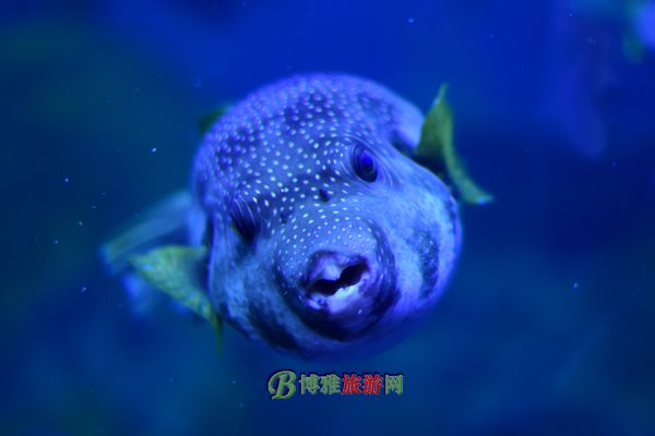 麣١¡ʺȼ