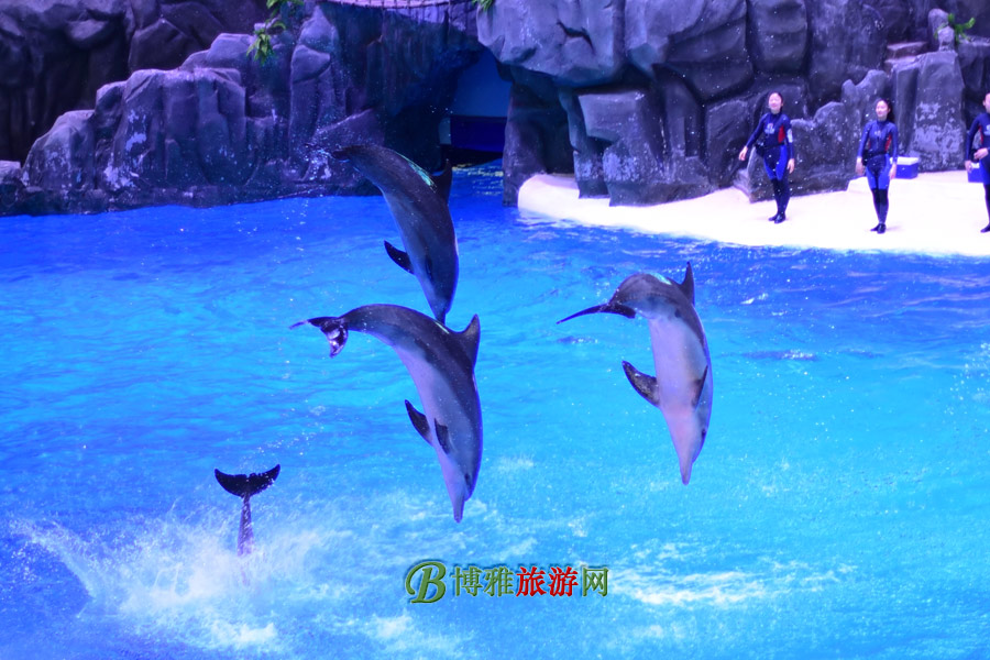 麣١¡ʺȼ