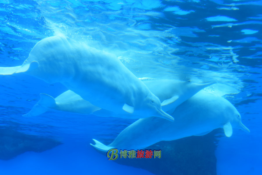 麣١¡ʺȼ