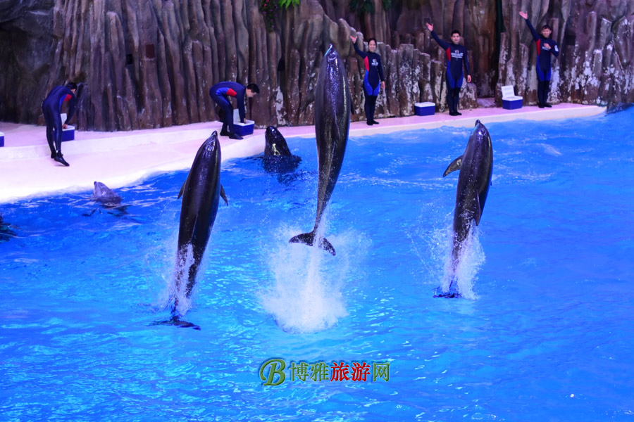 麣١¡ʺȼ