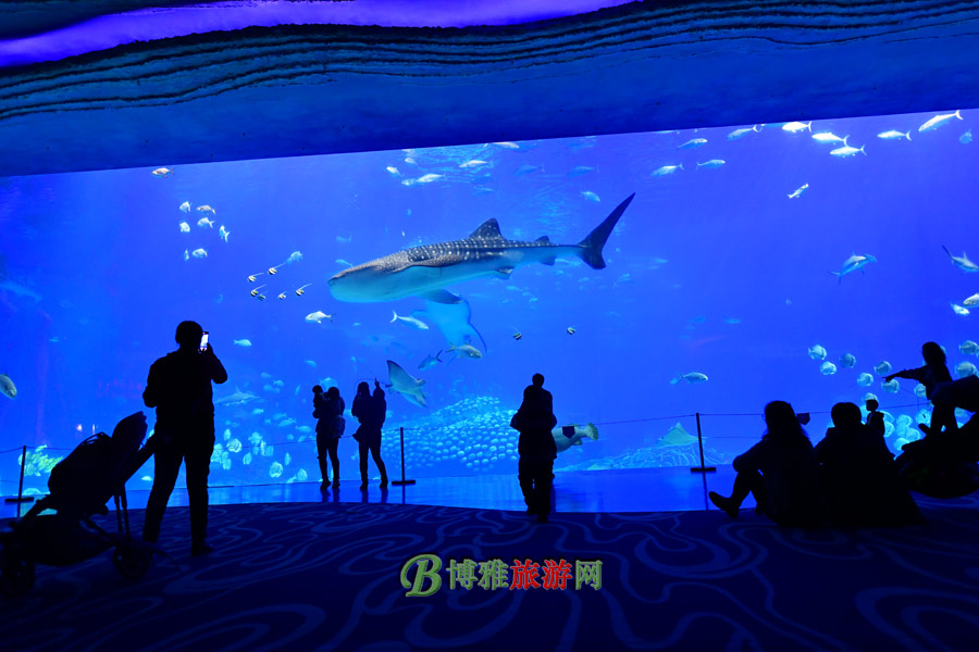 麣١¡ʺȼ