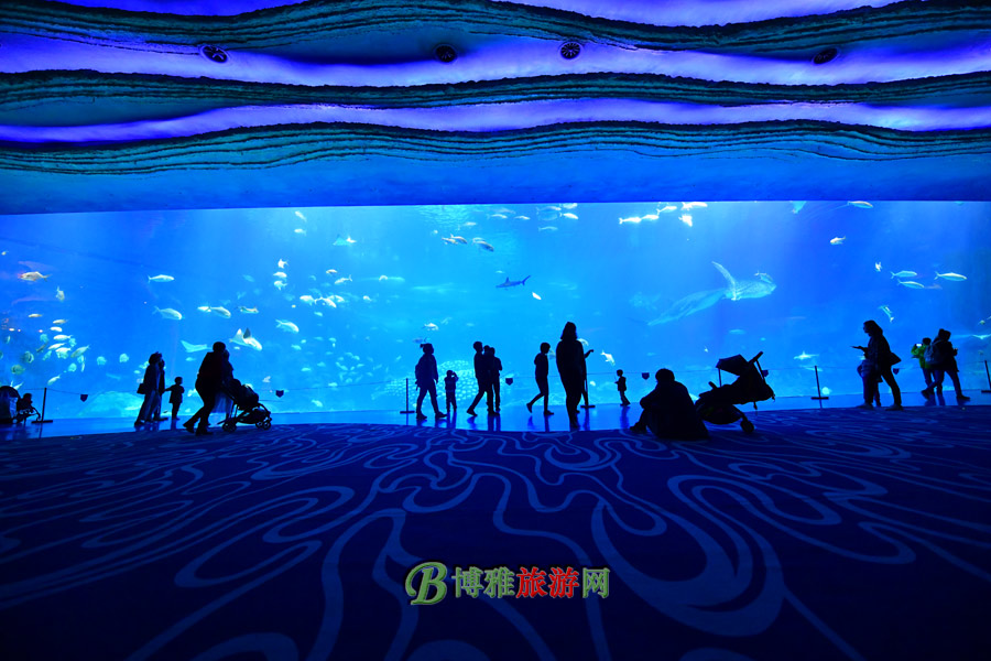 麣١¡ʺȼ