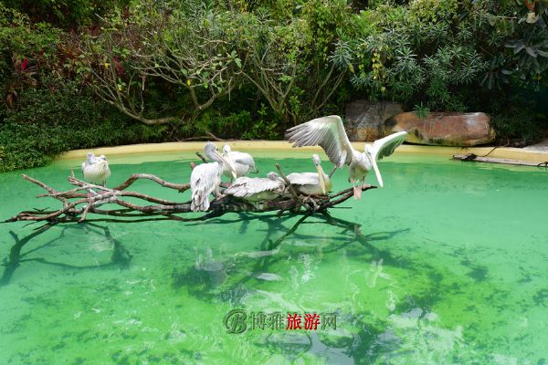 麣١¡ʺȼ