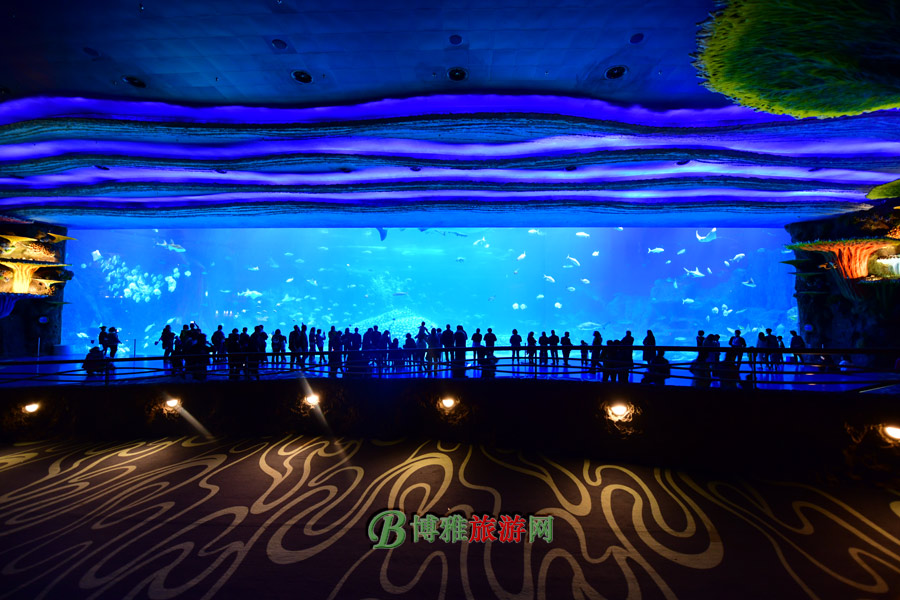 麣١¡ʺȼ