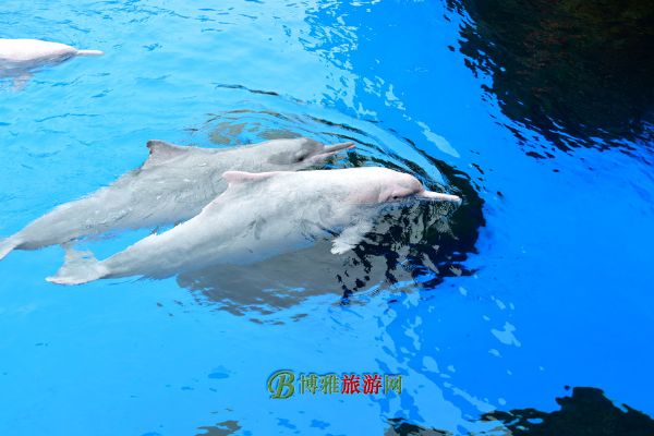 麣١¡ʺȼ