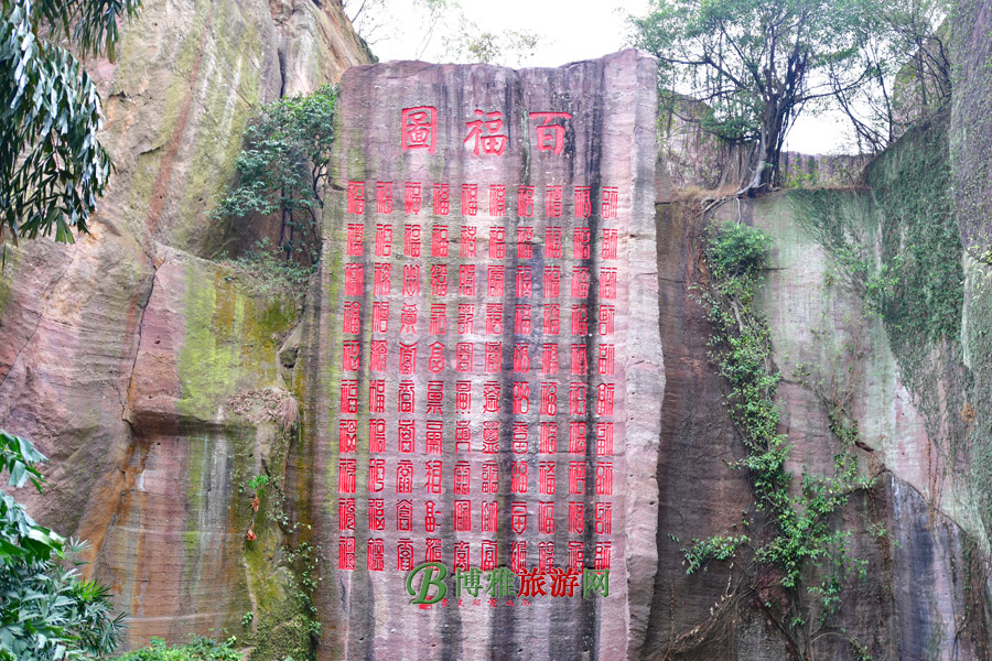 ɽŲʯʱһֱ