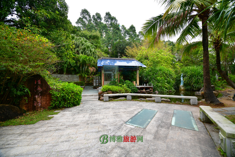 չʾ麣顣