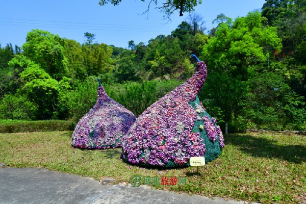 ӻη羰