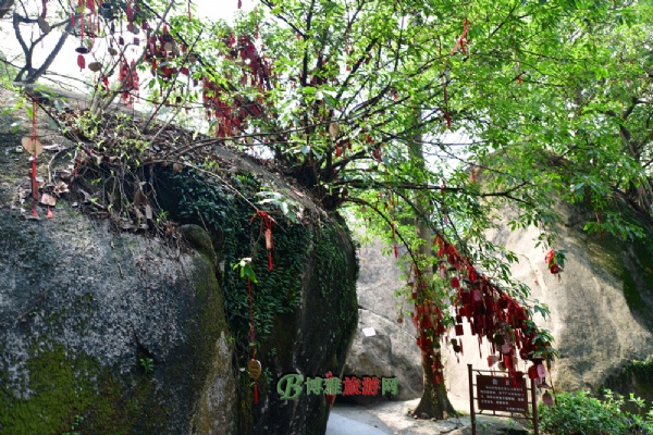 ڷɽ羰