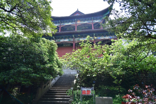 紨