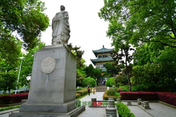 η羰