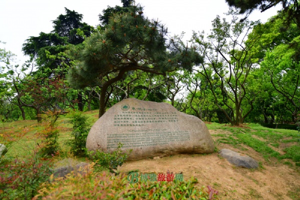 η羰