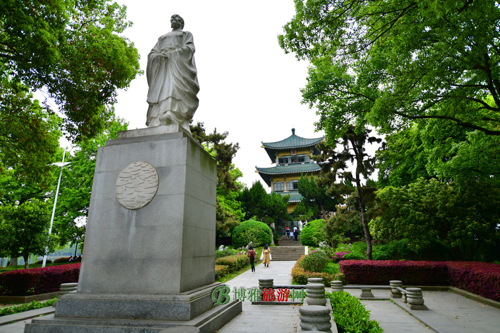 η羰