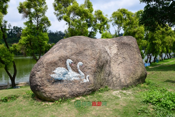 ũ