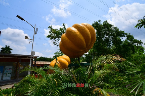 ũ