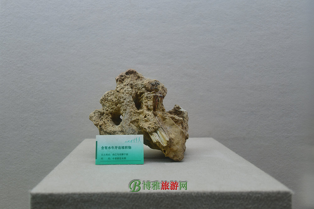 ˲