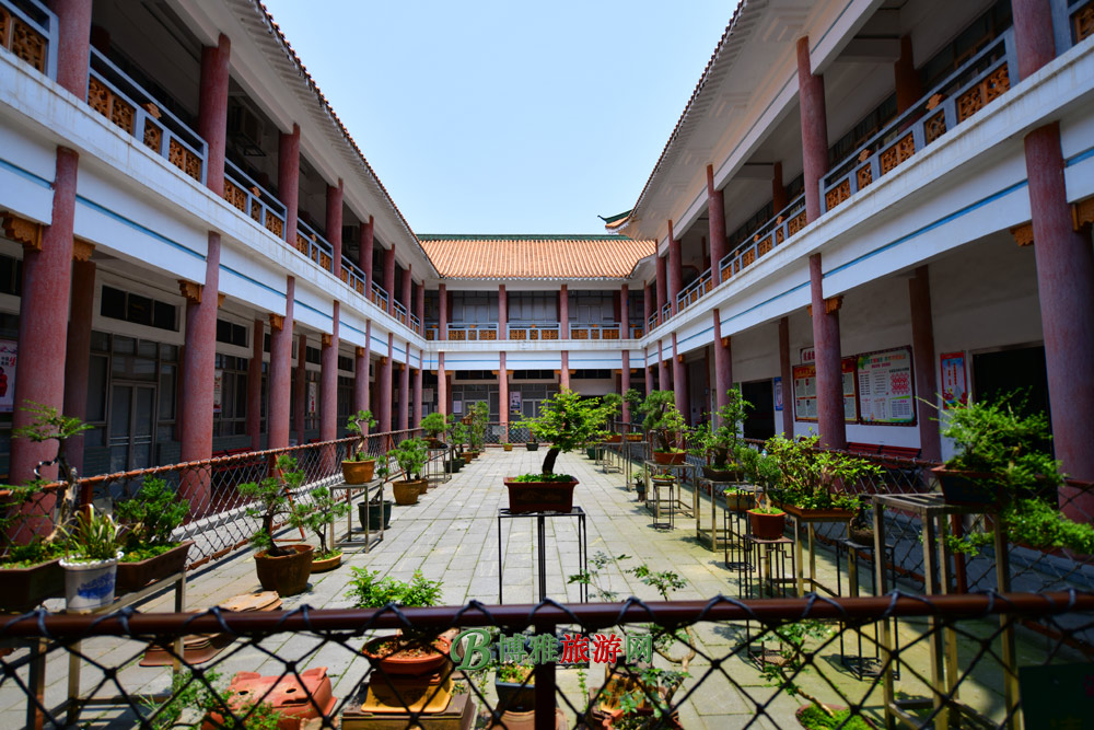 ˲
