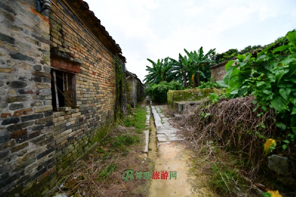 չŴ
