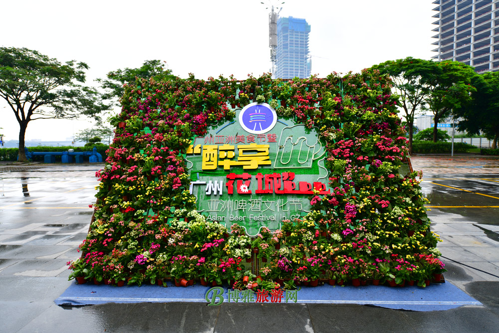 齭-ӢơƲ