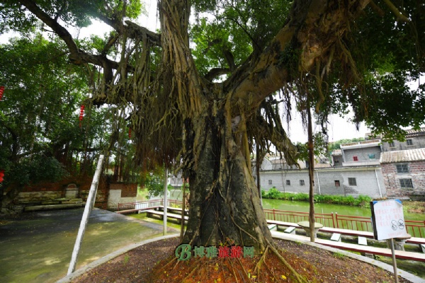 鶹Ŵ壨Դ徰