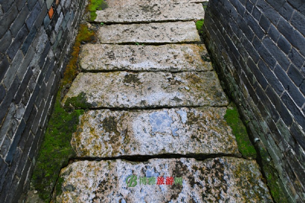 鶹Ŵ壨Դ徰