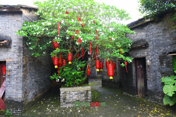 鶹Ŵ壨Դ徰