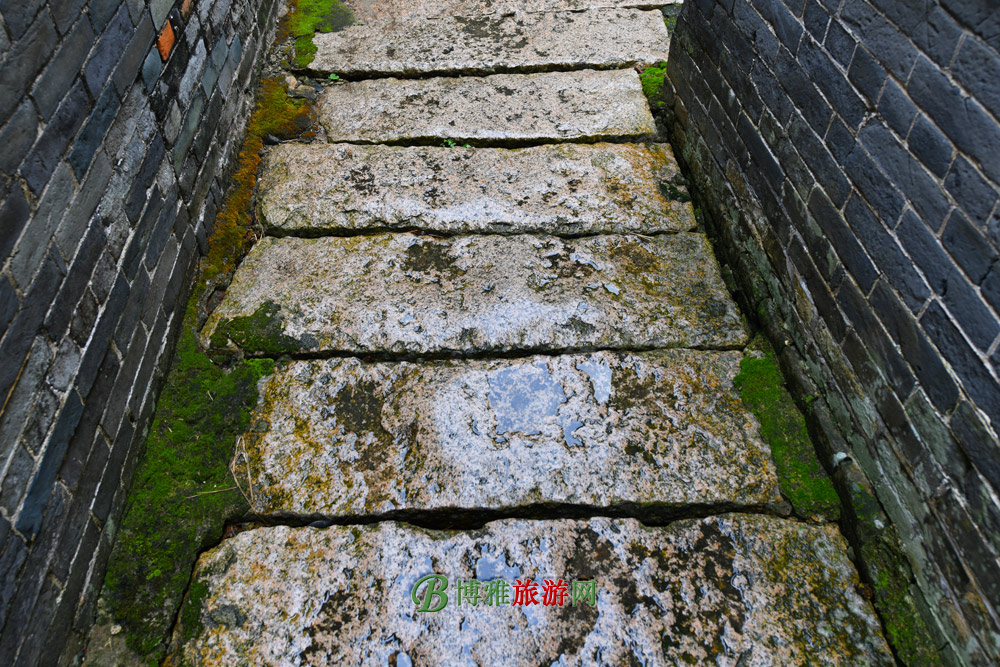 鶹Ŵ壨Դ徰