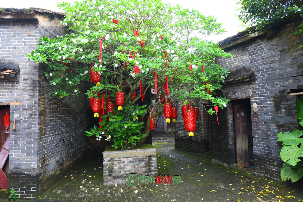 鶹Ŵ壨Դ徰