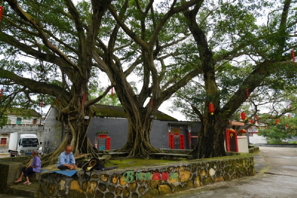 鶹Ŵ壨Դ徰