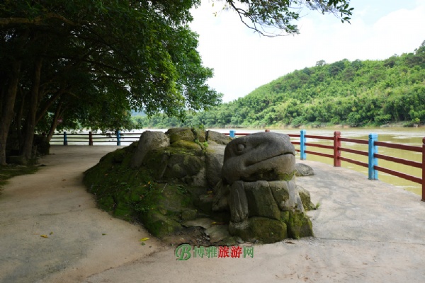 罭̬
